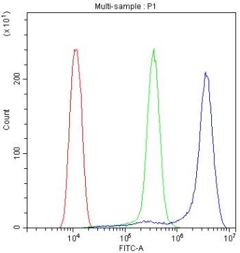 Flow cytometry analysis of fixed and permeabilized human ThP-1 cells with Properdin antibody at 1ug/million cells (blocked with goat sera); Red=cells alone, Green=isotype control, Blue= Properdin antibody.