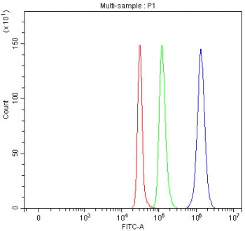 Flow cytometry testing of fixed and permeabilized human SH-SY5Y cells with BAG6 antibody at 1ug/10^6 cells (blocked with goat sera); Red=cells alone, Green=isotype control, Blue= BAG6 antibody.