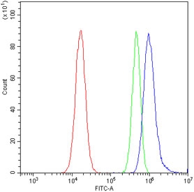 Flow cytometry testing of fixed and permeabilized human A549 cells with SNRPN antibody at 1ug/million cells (blocked with goat sera); Red=cells alone, Green=isotype control, Blue= SNRPN antibody.