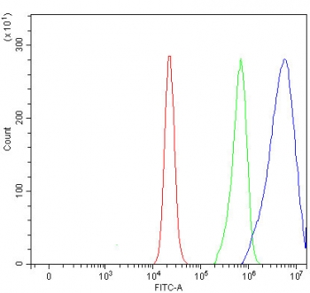Flow cytometry testing of fixed and permeabilized human RT4 cells with DOK7 antibody at 1ug/million cells (blocked with goat sera); Red=cells alone, Green=isotype control, Blue= DOK7 antibody.