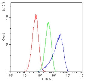 Flow cytometry testing of human A549 cells with HECTD3 antibody at 1ug/10^6 cells (blocked with goat sera); Red=cells alone, Green=isotype control, Blue= HECTD3 antibody.