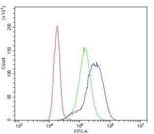 Flow cytometry testing of human K562 cells with DARS2 antibody at 1ug/million cells (blocked with goat sera); Red=cells alone, Green=isotype control, Blue= DARS2 antibody.