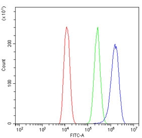 Flow cytometry testing of human U-2 OS cells with SCN4B antibody at 1ug/million cells (blocked with goat sera); Red=cells alone, Green=isotype control, Blue= SCN4B antibody.