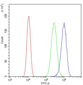 Flow cytometry testing of human SiHa cells with SCN4B antibody at 1ug/million cells (blocked with goat sera); Red=cells alone, Green=isotype control, Blue= SCN4B antibody.