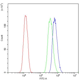 Flow cytometry testing of human U-87 MG cells with KBTBD2 antibody at 1ug/million cells (blocked with goat sera); Red=cells alone, Green=isotype control, Blue= KBTBD2 antibody.