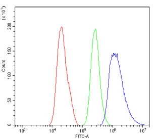 Flow cytometry testing of human A431 cells with ARNTL2 antibody at 1ug/million cells (blocked with goat sera); Red=cells alone, Green=isotype control, Blue= ARNTL2 antibody.