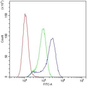 Flow cytometry testing of human A549 cells with RRBP1 antibody at 1ug/10^6 cells (blocked with goat sera); Red=cells alone, Green=isotype control, Blue= RRBP1 antibody.