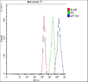 Flow cytometry testing of fixed and permeabilized human U937 cells with ARPC1B antibody at 1ug/million cells (blocked with goat sera); Red=cells alone, Green=isotype control, Blue= ARPC1B antibody.