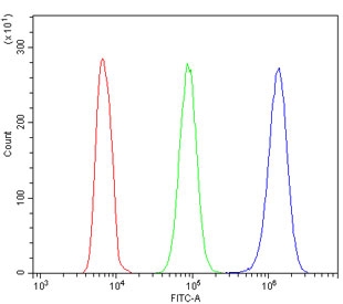 Flow cytometry testing of human HL-60 cells with ATP5MC1/2/3 antibody at 1ug/million cells (blocked with goat sera); Red=cells alone, Green=isotype control, Blue= ATP5MC1/2/3 antibody.