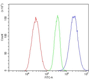 Flow cytometry testing of human HepG2 cells with SGLT2 antibody at 1ug/million cells (blocked with goat sera); Red=cells alone, Green=isotype control, Blue= SGLT2 antibody.