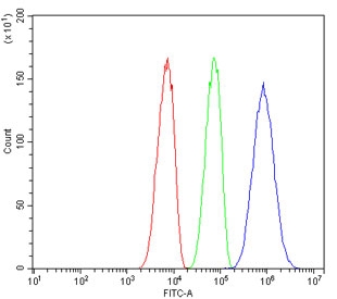 Flow cytometry testing of human SiHa cells with SMARCAD1 antibody at 1ug/million cells (blocked with goat sera); Red=cells alone, Green=isotype control, Blue= SMARCAD1 antibody.