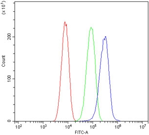 Flow cytometry testing of human SiHa cells with CDC42 antibody at 1ug/million cells (blocked with goat sera); Red=cells alone, Green=isotype control, Blue= CDC42 antibody.