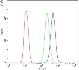 Flow cytometry testing of human U-2 OS cells with CDC42 antibody at 1ug/million cells (blocked with goat sera); Red=cells alone, Green=isotype control, Blue= CDC42 antibody.