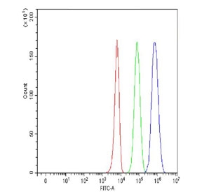 EZH2 Antibody K562 Cell FACS. Flow cytometry testing of fixed and permeabilized human K562 cells with EZH2 antibody at 1ug/million cells (blocked with goat sera); Red=cells alone, Green=isotype control, Blue= EZH2 antibody.
