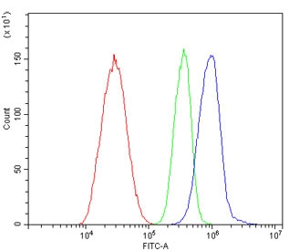 Flow cytometry testing of human HepG2 cells with eNOS antibody at 1ug/million cells (blocked with goat sera); Red=cells alone, Green=isotype control, Blue= eNOS antibody.