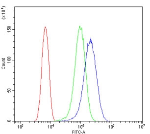 Flow cytometry testing of human U-87 MG cells with eNOS antibody at 1ug/million cells (blocked with goat sera); Red=cells alone, Green=isotype control, Blue= eNOS antibody.