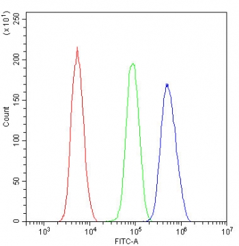 BRG1 Antibody for FACS / SMARCA4 Flow Cytometry Antibody. Flow cytometry analysis of human U-2 OS cells stained with BRG1 antibody at 1 ug per million cells demonstrates a clear fluorescence shift of the BRG1-stained population (blue histogram) relative to the isotype control (green histogram) and unstained cells (red histogram). Cells were blocked with goat sera prior to staining and analyzed by flow cytometry using FITC-A detection to measure fluorescence intensity. The rightward shift in fluorescence signal indicates specific intracellular detection of the BRG1 / SMARCA4 chromatin remodeling protein within the analyzed cell population, demonstrating suitability of the antibody for intracellular flow cytometry analysis of BRG1 expression.