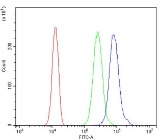 Flow cytometry testing of human SiHa cells with Cofilin 2 antibody at 1ug/million cells (blocked with goat sera); Red=cells alone, Green=isotype control, Blue= Cofilin 2 antibody.