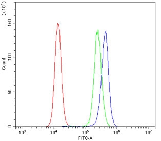 MMP1 Antibody PC-3 Cell FACS. Flow cytometry analysis of human PC-3 cells using MMP1 Antibody / Interstitial Collagenase Antibody at 1 ug/million cells. Cells were blocked with goat sera prior to staining. The blue histogram represents MMP1 antibody staining, the green histogram represents the isotype control and the red histogram represents cells alone. A distinct rightward shift of the antibody-stained population demonstrates specific detection of MMP1 expression in PC-3 cells. These results support the use of MMP1 Antibody / Interstitial Collagenase Antibody for studying extracellular matrix remodeling, interstitial collagenase expression and cancer-associated tissue remodeling pathways.