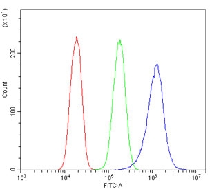 Flow cytometry testing of human PC-3 cells with IRS1 antibody at 1ug/million cells (blocked with goat sera); Red=cells alone, Green=isotype control, Blue= IRS1 antibody.