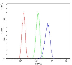 Flow cytometry testing of human A431 cells with Hsp60 antibody at 1ug/million cells (blocked with goat sera); Red=cells alone, Green=isotype control, Blue= Hsp60 antibody.