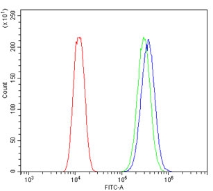 Flow cytometry testing of human U-2 OS cells with ABCB5 antibody at 1ug/million cells (blocked with goat sera); Red=cells alone, Green=isotype control, Blue= ABCB5 antibody.