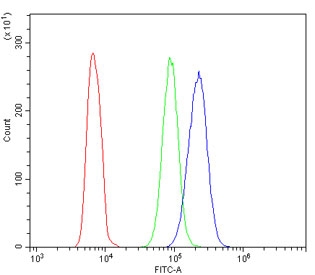 ALDH1A1 Antibody FACS. Flow cytometry analysis of human HL60 cells stained with ALDH1A1 antibody. The ALDH1A1-positive population (blue) shows a distinct fluorescence shift compared to the isotype control (green) and unstained cells (red), supporting expression of Aldehyde dehydrogenase 1 family member A1 / ALDH1A1 in this promyelocytic leukemia cell line. Cells were blocked with goat sera prior to staining and tested at 1 ug antibody per million cells.