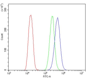 Flow cytometry testing of human U-2 OS cells with SDHB antibody at 1ug/million cells (blocked with goat sera); Red=cells alone, Green=isotype control, Blue= SDHB antibody.
