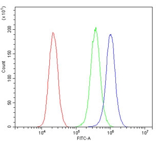 Flow cytometry testing of human PC-3 cells with SQSTM1 antibody at 1ug/million cells (blocked with goat sera); Red=cells alone, Green=isotype control, Blue= SQSTM1 antibody.