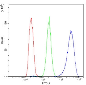 Flow cytometry testing of human HepG2 cells with EIF4G1 antibody at 1ug/million cells (blocked with goat sera); Red=cells alone, Green=isotype control, Blue= EIF4G1 antibody.