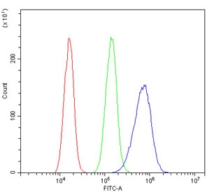Flow cytometry testing of human A431 cells with Hsp105 antibody at 1ug/million cells (blocked with goat sera); Red=cells alone, Green=isotype control, Blue= Hsp105 antibody.