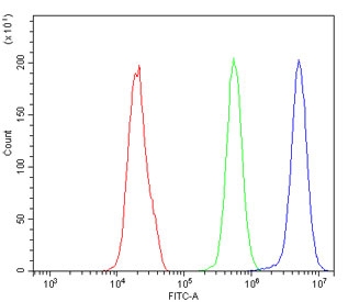 Flow cytometry testing of human PC-3 cells with Ran antibody at 1ug/million cells (blocked with goat sera); Red=cells alone, Green=isotype control, Blue= Ran antibody.