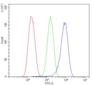 Flow cytometry testing of human U-87 MG cells with EIF4A1/2/3 antibody at 1ug/million cells (blocked with goat sera); Red=cells alone, Green=isotype control, Blue= EIF4A1/2/3 antibody.