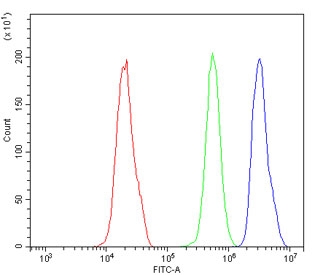 Flow cytometry testing of human PC-3 cells with NRF1 antibody at 1ug/million cells (blocked with goat sera); Red=cells alone, Green=isotype control, Blue= NRF1 antibody.