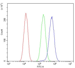 Flow cytometry testing of human A549 cells with Merlin antibody at 1ug/million cells (blocked with goat sera); Red=cells alone, Green=isotype control, Blue= Merlin antibody.
