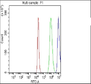 Flow cytometry testing of fixed and permeabilized human SH-SY5Y cells with NOTCH2 antibody at 1ug/million cells (blocked with goat sera); Red=cells alone, Green=isotype control, Blue= NOTCH2 antibody.