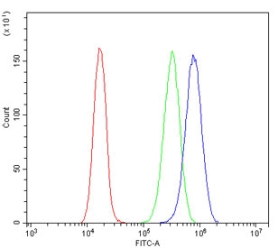 Flow cytometry testing of human Caco-2 cells with Orai1 antibody at 1ug/million cells (blocked with goat sera); Red=cells alone, Green=isotype control, Blue= Orai1 antibody.