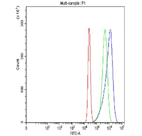 Flow cytometry testing of fixed and permeabilized human RT4 cells with SYK antibody at 1ug/million cells (blocked with goat sera); Red=cells alone, Green=isotype control, Blue= SYK antibody.