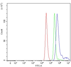 Flow cytometry testing of human ThP-1 cells with Exonuclease 1 antibody at 1ug/million cells (blocked with goat sera); Red=cells alone, Green=isotype control, Blue= Exonuclease 1 antibody.