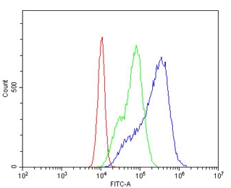 Flow cytometry testing of human Caco-2 cells with Filamin A antibody at 1ug/million cells (blocked with goat sera); Red=cells alone, Green=isotype control, Blue= Filamin A antibody.