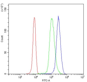 Flow cytometry testing of human U937 cells with GRM5 antibody at 1ug/million cells (blocked with goat sera); Red=cells alone, Green=isotype control, Blue= GRM5 antibody.