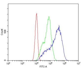Flow cytometry testing of fixed and permeabilized human Caco-2 cells with Beta Glucuronidase antibody at 1ug/million cells (blocked with goat sera); Red=cells alone, Green=isotype control, Blue= Beta Glucuronidase antibody.