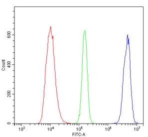 Flow cytometry testing of human HL-60 cells with MCM2 antibody at 1ug/million cells (blocked with goat sera); Red=cells alone, Green=isotype control, Blue= MCM2 antibody.