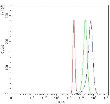 Flow cytometry testing of human 293T cells with PCNA antibody at 1ug/million cells (blocked with goat sera); Red=cells alone, Green=isotype control, Blue= PCNA antibody.