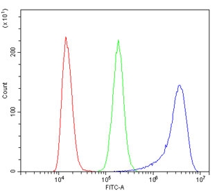 Flow cytometry testing of human K562 cells with Radixin antibody at 1ug/million cells (blocked with goat sera); Red=cells alone, Green=isotype control, Blue= Radixin antibody.