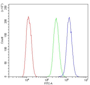 Flow cytometry testing of human U-2 OS cells with TNFRSF11B antibody at 1ug/million cells (blocked with goat sera); Red=cells alone, Green=isotype control, Blue= TNFRSF11B antibody.