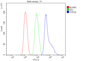 TOP2A Antibody HepG2 Cell FACS. Flow cytometric analysis of fixed and permeabilized human HepG2 cells using TOP2A Antibody / Topoisomerase II Alpha Antibody at 1 ug/10^6 cells. The blue histogram represents TOP2A staining, the green histogram shows the rabbit IgG isotype control, and the red histogram represents the unstained control. A clear rightward shift of the TOP2A-stained population demonstrates specific intracellular detection of TOP2A. This TOP2A Antibody, also called Topoisomerase II Alpha Antibody, is suitable for studies of cell proliferation, DNA replication, chromosome segregation, and cancer biology.