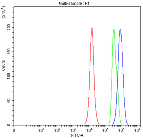 Flow cytometry testing of fixed and permeabilized human PC-3 cells with SKP1 antibody at 1ug/million cells (blocked with goat sera); Red=cells alone, Green=isotype control, Blue= SKP1 antibody.