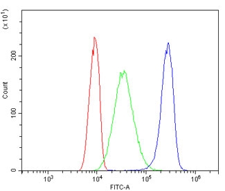 MVP Antibody for FACS in Human A431 Cells. Flow cytometry analysis of Major Vault Protein (MVP / LRP) expression in human A431 cells using a mouse monoclonal antibody clone 8B12. Cells were fixed, permeabilized, and stained at 1 ug per million cells. The MVP antibody (blue) shows a clear rightward shift in fluorescence intensity compared to the isotype control (green) and unstained cells (red), indicating specific intracellular detection. The distinct population separation supports accurate gating and quantitative single-cell analysis, consistent with the known expression of Major vault protein in epithelial cancer cells and its role in drug resistance and cellular stress response pathways.