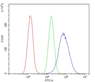MVP Antibody for FACS in Human A549 Cells. Flow cytometry analysis of Major Vault Protein (MVP / LRP) expression in human A549 cells using a mouse monoclonal antibody (8B12). Cells were fixed, permeabilized, and stained at 1 ug per million cells. The MVP antibody (blue) demonstrates a clear rightward shift relative to the isotype control (green) and unstained cells (red), indicating specific intracellular detection. The separation of populations supports reliable gating and quantitative single-cell analysis, consistent with the known expression of Major vault protein in epithelial-derived cancer cells and its role in drug resistance and cellular stress response pathways.